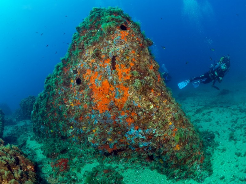 Diving in Águilas; popular dives and diving schools